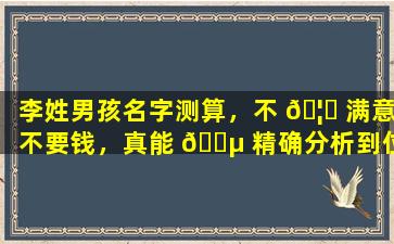 李姓男孩名字测算，不 🦁 满意不要钱，真能 🌵 精确分析到位